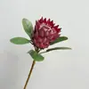 Flor Rei da África do Sul Simulada, Flor Princesa da África do Sul, Adereços de Fotografia, Arte Floral para Casa, Decorações Simuladas para Fotos, Venda por Atacado