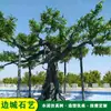 Simulación de cemento protector de árbol cueva kárstica sitio de modelado plástico recto casa en el árbol carretera de playa hermosos adornos de Chen paisaje