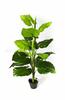 Simulación de comercio exterior taro verde simulación taro de hadas bonsái planta de simulación Guanyin goteante adornos decorativos en maceta venta al por mayor