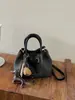 Bolsos pequeños populares de este año para mujer, nuevos bolsos cruzados versátiles de primavera 2026, bolsos pequeños de moda y súper modernos
