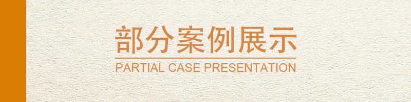 案例展示