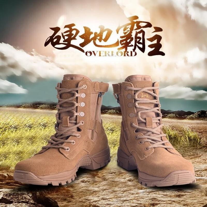 eaa5cfd6e623c492_副本1231