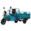 Triciclo Eléctrico Guowei para Transporte de Carga, Placa de Acero Watt de 1.9m Transportador de Carga de Alta Resistencia, Triciclo Eléctrico Agrícola