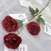 Nordic casa decoração flor artificial Bangladesh queimando borda peônia ins estilo casamento salão flor arranjo decoração falsa flor atacado