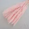 Pequeno Junco Flores Eternas Buquê de Flores Secas Capim dos Pampas DIY Materiais Florais Decoração Capim dos Pampas Amazon Atacado Flores Eternas