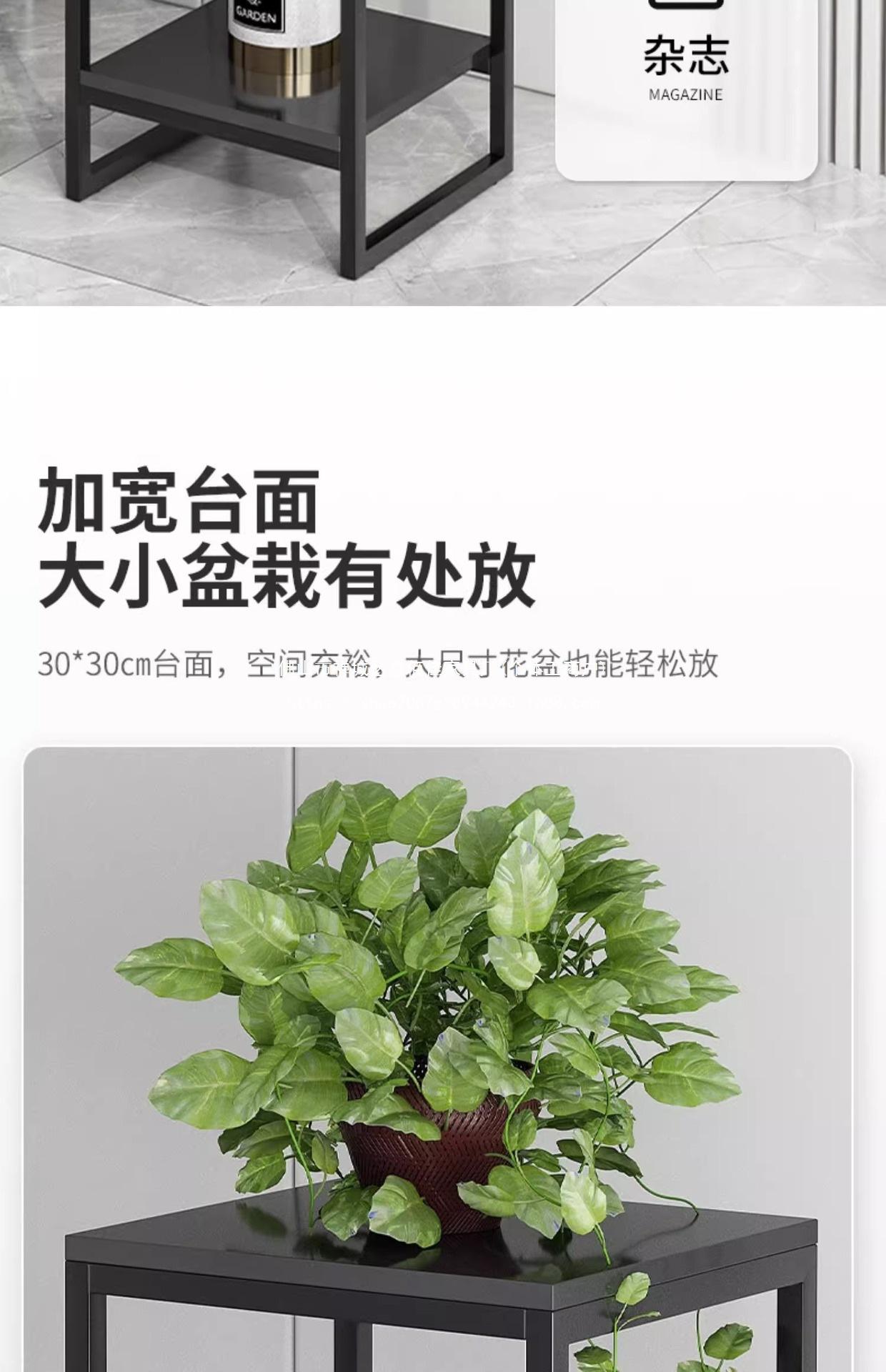 复制_轻奢花架子客厅落地式室内铁艺多肉绿萝植物.jpg