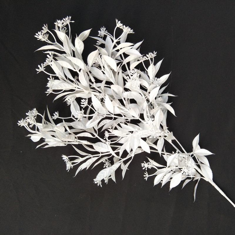 水芙蓉2号白色