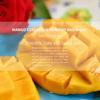 Máscara Facial de Frutas Zozu Completa em Inglês Máscara Hidratante e Umectante Máscara Facial Máscara Hidratante Exportação Transfronteiriça Atacado