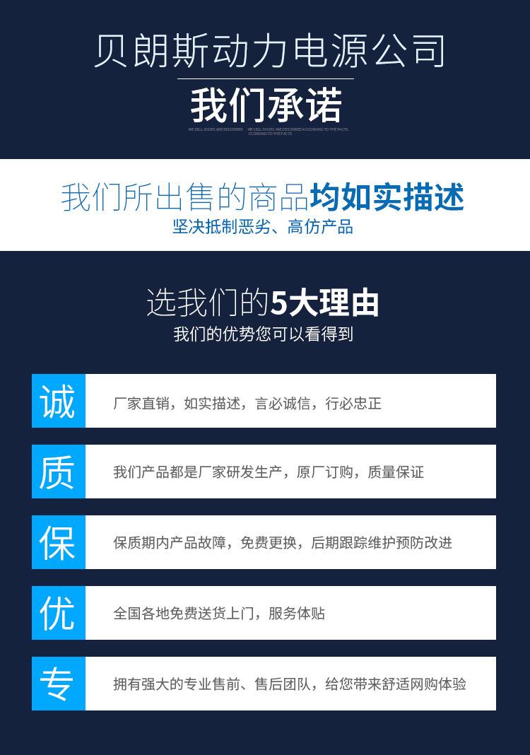 骆驼船用蓄电池_10.jpg