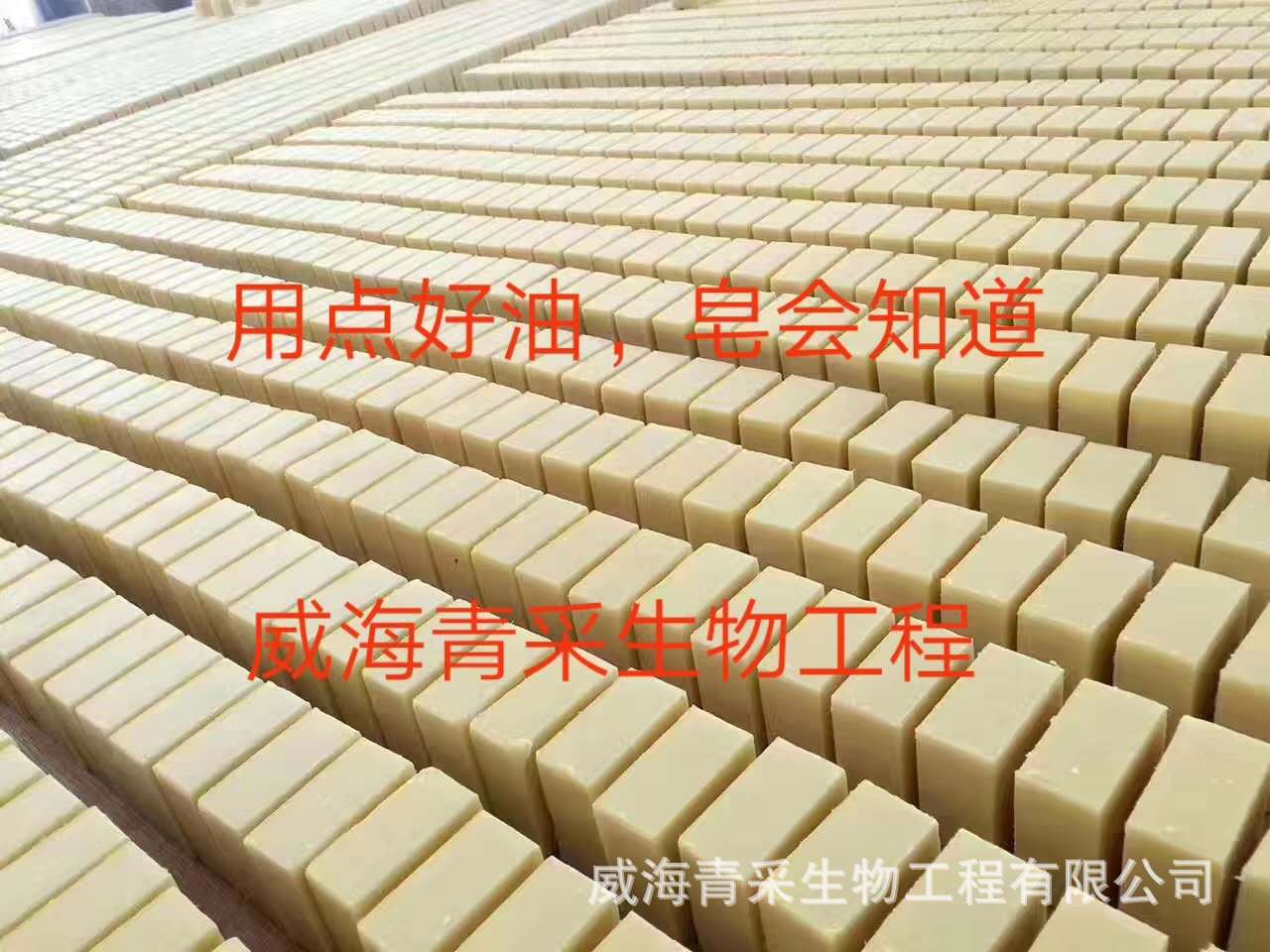 微信图片_20190511094113