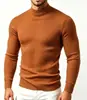 Suéter de Punto para Hombre Otoño e Invierno, Cuello Medio Alto, Elástico, Color Liso, Jersey, Moda Juvenil, Capa Base Casual