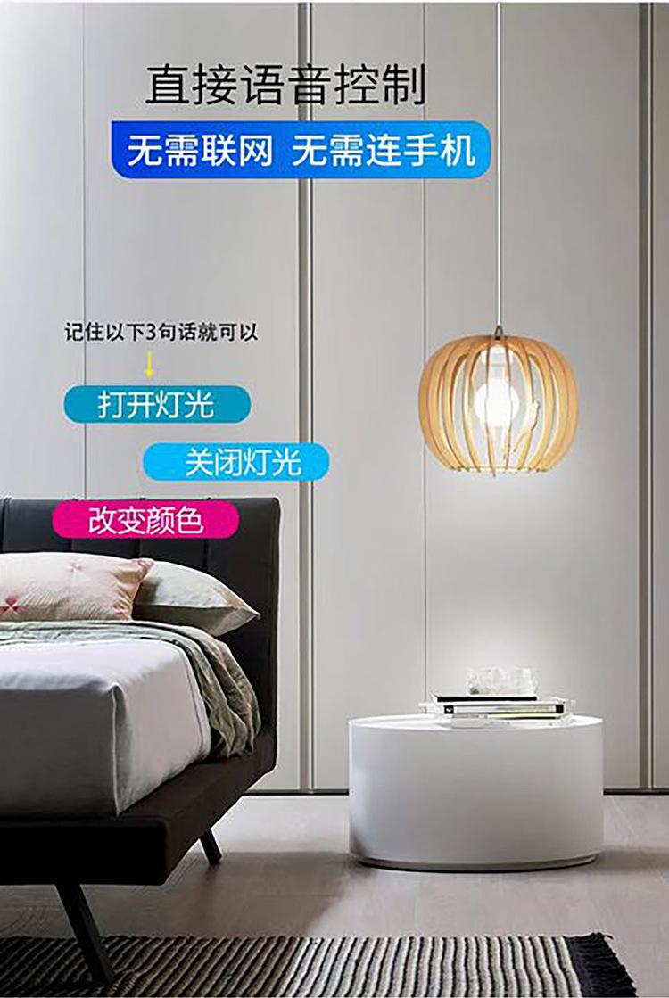 语音灯头_03.jpg