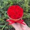 Rosa roja eterna, flor real, Phnom Penh, cubo para abrazos, regalo de San Valentín, Navidad, para novia, productos terminados al por mayor