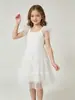 Vestido de cumpleaños de princesa con tiras de lazo transfronterizo personalizado para niños, vestido de tarta de tul para niñas, vestido formal blanco