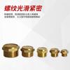 RIH Ruiheng PSV Silenciador de Cabeza Plana Válvula Solenoide Neumática 1/2/3/4/6 Puntos Silenciador de Cobre Silencioso Hierro/Cobre