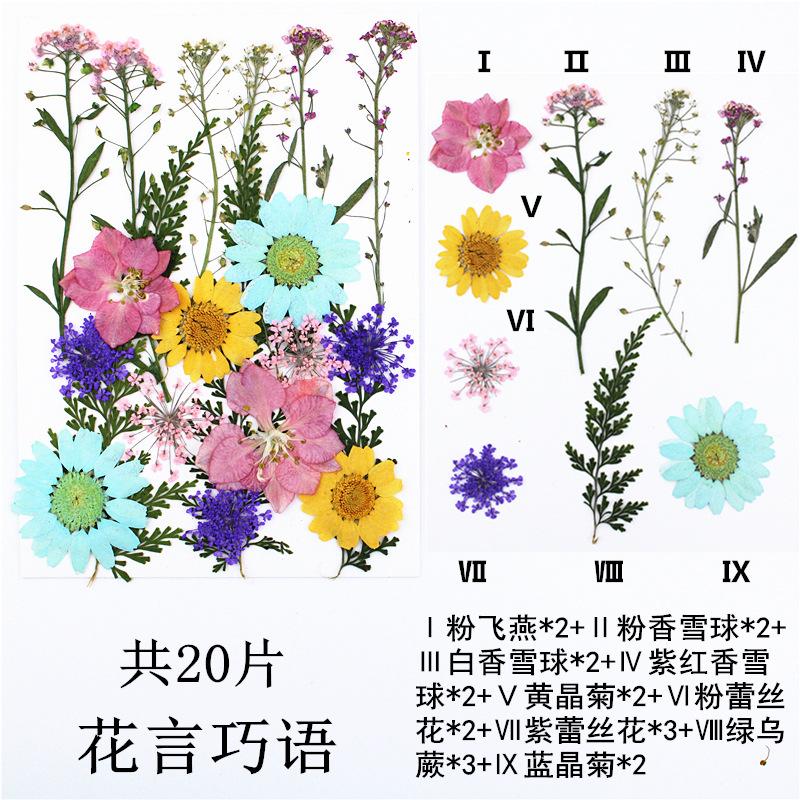 IMG_4122_副本_副本.jpg
