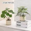 Plantas Verdes Artificiales, Flores Falsas, Flores Artificiales, Plantas Pequeñas de Escritorio en Maceta, Adornos Decorativos, Estanterías, Plantas Verdes Artificiales, Accesorios de Fotografía