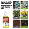 Nutriente para el crecimiento de plantas Yegbong enraizamiento de plantas de flor fertilizante concentrado para promover el crecimiento rechoncho