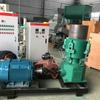 Máquina Pelletizadora de Alimento Proteico, Peletizadora de Fertilizante Orgánico de Biomasa, Línea de Producción de Granulación por Prensado para Arena Sanitaria de Carbón de Bambú, Taifeng
