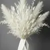 Ramo de flores secas, junco, flores preservadas, decoración de flores naturales de alta gama, arreglo floral estilo nórdico, productos de arte floral, superventas transfronterizo