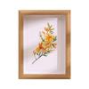 Moldura de espécime oca tridimensional feita sob medida 6 polegadas diy conjunto de moldura para foto artesanal mesa A4 borboleta inseto argila flor seca exibição pintura