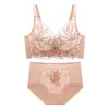 Sujetador Push-Up Pequeño de Encaje Bordado para Mujer, Grande Push-Up Anticaída, Reductor de Senos, Juego de Sujetadores sin Aros