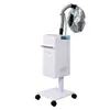 Equipamento de Touca Aquecedora de Ozônio para Barbearias, Máquina de Tratamento Capilar, Máquina de Spray, Vaporizador de Vapor para Cuidados com os Cabelos Atacado