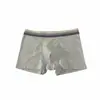 Nuevos calzoncillos tipo bóxer para hombre con tacto de algodón 10A antibacterianos talla grande transpirables de cuatro esquinas paquete de 4