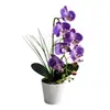 Flores Artificiales con 6 Flores y 3 Frutas, Orquídea Phalaenopsis de Toque Real Bonsái Decoración de Planta Verde para Interior del Hogar Sala de Estar Flores de Bonsái Pequeñas