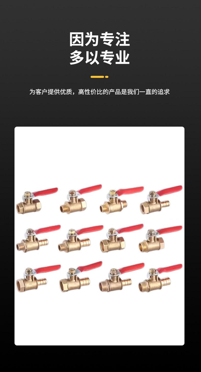 红柄小球阀