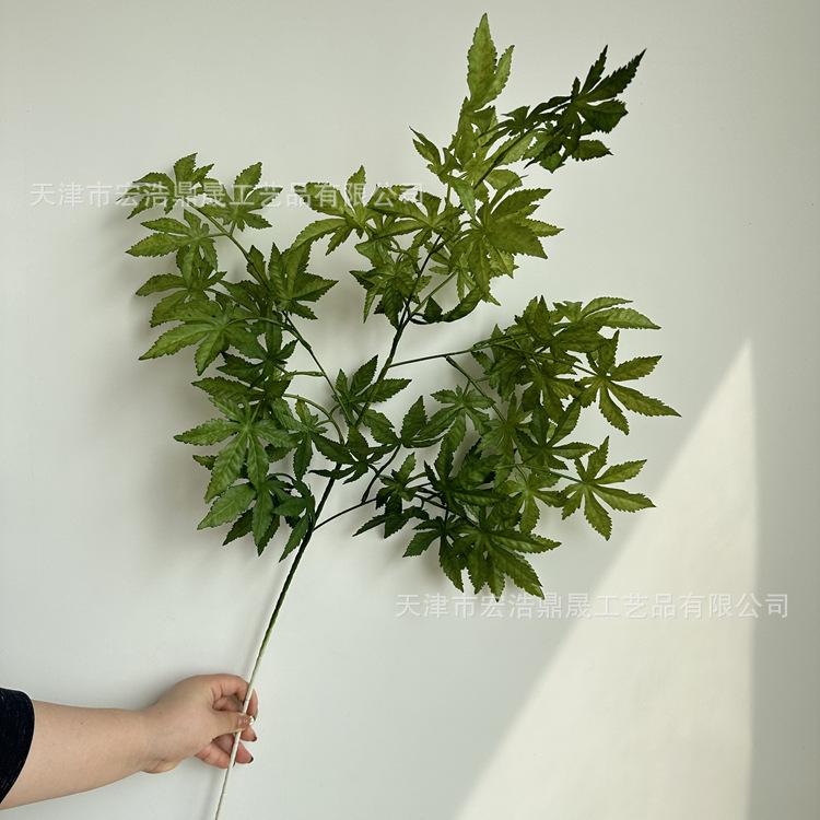 微信图片_2023040214504526_副本