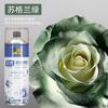 Spray de flores color floral azul hielo ramo flor seca tinte floristería especial color para pintar uno mismo material spray BD