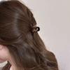 Flequillo castaño tamaño pequeño Pinza Mujer Cabeza Frontal Sentido de Alta Calidad Perla Pasador Lateral Clip Trasero Cabeza Pinza Tiburón Accesorios para el Cabello