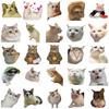 50 pegatinas con forma de gato realista para bolso, carcasa de teléfono móvil, taza de agua, guitarra, equipaje, pegatinas de grafiti, venta al por mayor