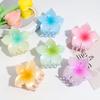 Venta Caliente Transfronteriza Moda Pequeño Fresco Combinación Perfecta Degradado Teñido Simi Flor Pinza Pinza para el Cabello de Niña Combinación Perfecta Accesorios para el Cabello