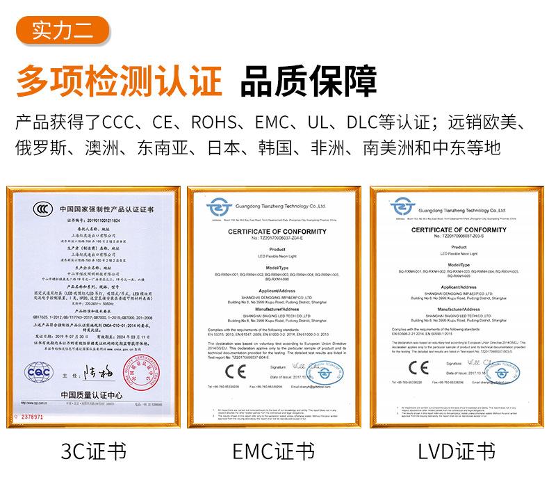 白光12V_17.jpg