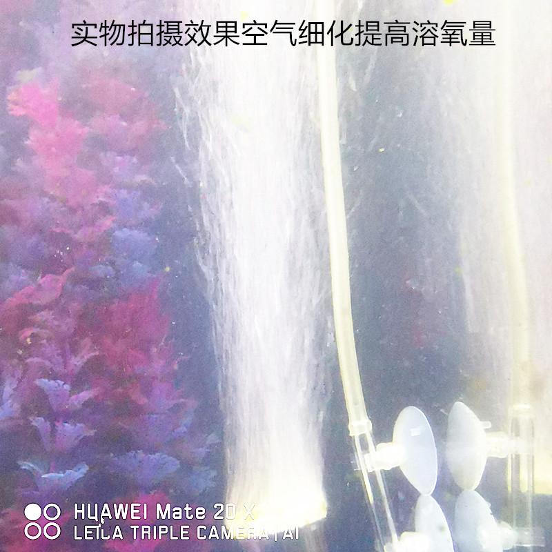 微信图片_20200603000425_副本
