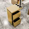 Gabinete de Herramientas para Barbería Estilo Nuevo Gabinete de Herramientas de Peluquería de Acero Inoxidable Gabinete de Herramientas para Salón de Belleza Gabinete de Almacenamiento con Cajones