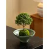 Vaso de Cerâmica Criativo Bandeja de Bola de Musgo Vaso de Flor Vaso de Samambaia Recipiente Hidropônico Sem Furo A16