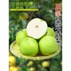 Peras Frescas Crown Green Skin 5kg Peras de Dangshan de Temporada, Peras Pato, Peras Nieve, Peras de Dangshan, Peras Corona Verde, Caja Completa