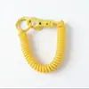 Llavero de cordón de resorte de plástico en stock, llavero de resorte metálico colorido, cordón retráctil anti-pérdida, cadena con colgante de resorte