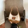 Exquisita Súper Popular Bolso de Cuadros de Nicho para Mujer 2026 Nuevo Mini Versátil Bolso Cruzado Bolso Dumpling Bolso de Mano Pequeño para Salir