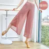 Roupas de Dança Moderna para Mulheres, Dança Clássica, Dança Chinesa, Roupas Justas ao Corpo, Calças de Gaze, Fenda, Calças Retas Fluidas, Calças Longas para Adultos