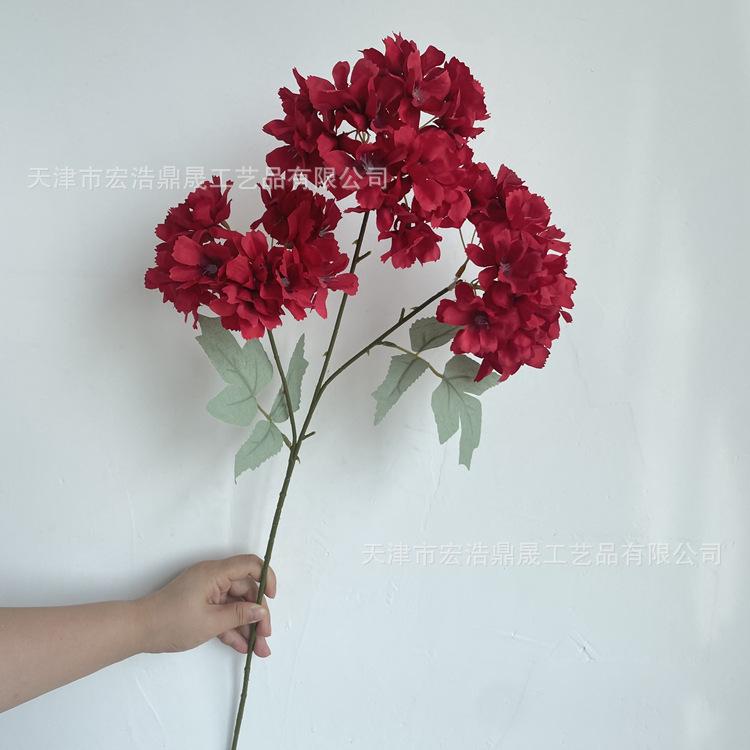 微信图片_202207211439005_副本