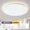 Luz principal de la sala de estar, nueva luz de techo tri-proof de espectro completo para protección ocular, minimalista, simple y elegante para toda la casa