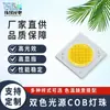 Contas de Lâmpada Cob de Alta Potência, Alto Display, Temperatura de Cor Dupla, Fotografia Ultra Brilhante, Fonte de Luz Cob Integrada para Lâmpada de Cinema e Televisão, Suporta Personalização