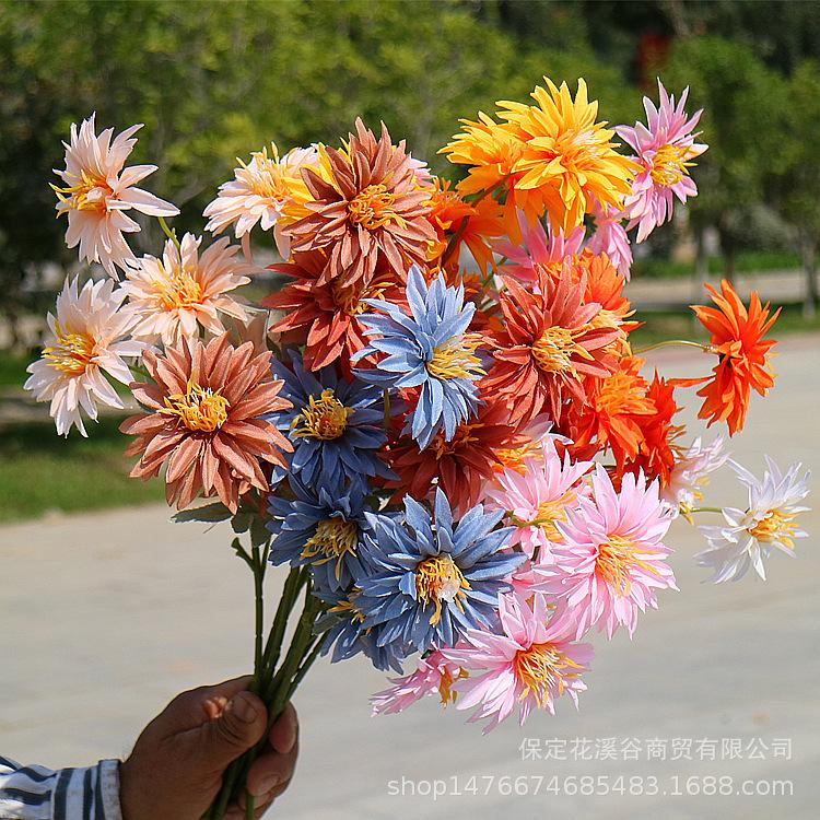 林溪郡_副本.jpg