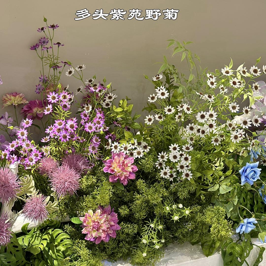 4-9_副本.jpg