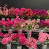 Serie Rojo Rosado Flores Artificiales para Bodas, Arreglos Florales para Pasillo de Salón de Bodas, Arreglos Florales Decorativos Suaves Artificiales de Alta Calidad Venta al por Mayor