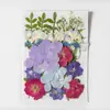 33 Piezas de Combinación con Relieve, Se Pueden Usar para Calcomanías Hechas a Mano, Fundas de Teléfono Secadas con Pegamento, Velas de Aromaterapia, Producción Creativa de Flores, Decoración del Hogar, Regalos de Acción de Gracias y Navidad